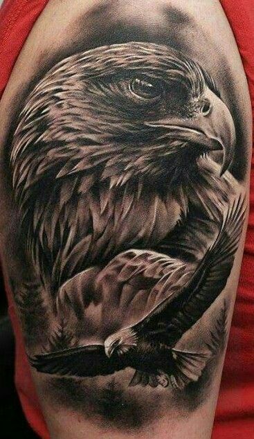 Tatuagens de águia (3)