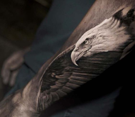 Tatuagens de águia (8)